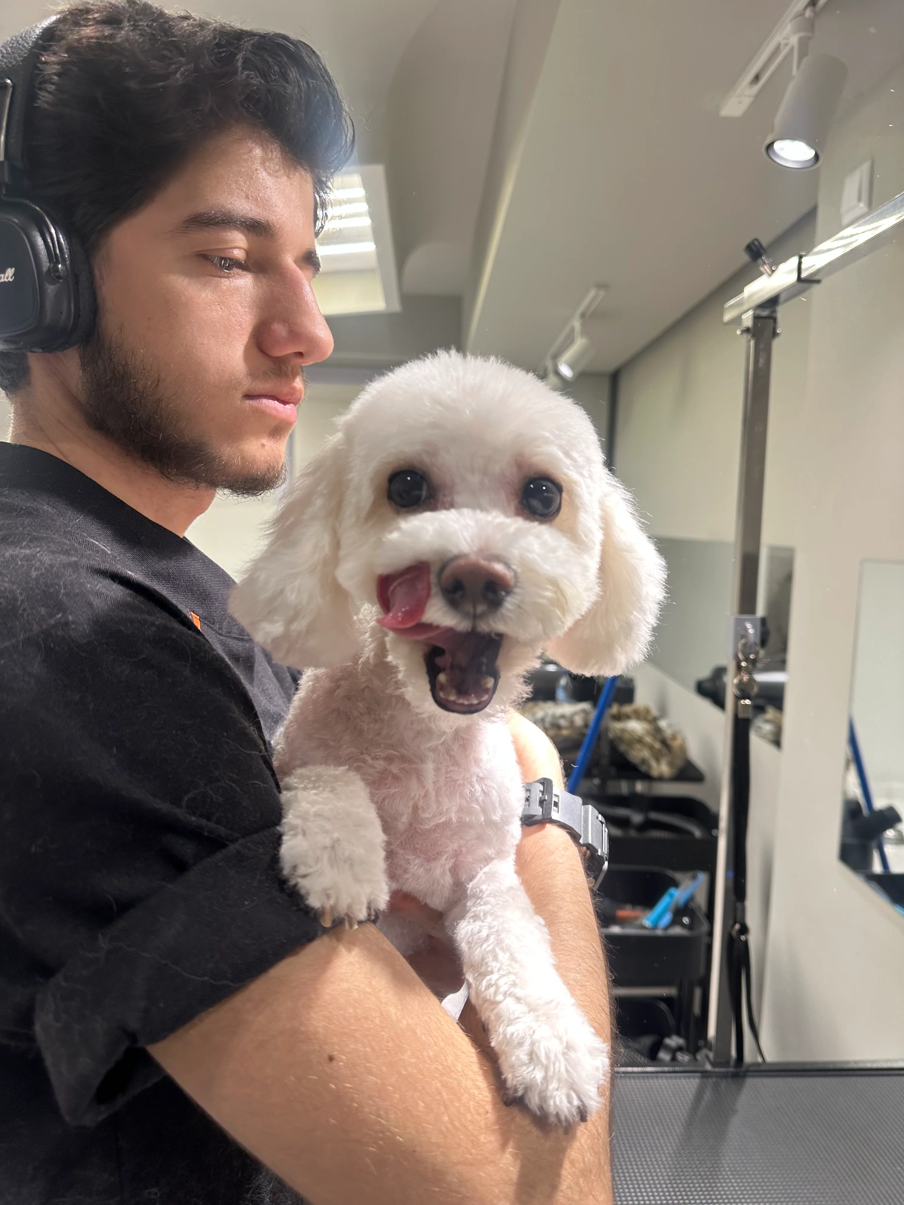 Dog photo